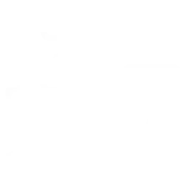 Cleaning icon